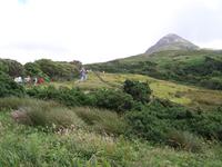 im Connemara NP