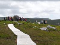 im Connemara NP