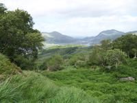 Lady`s View