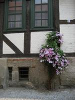 kleiner Schmuck am Haus