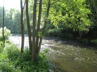 im Tal der Bode