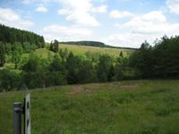 durch Wiesen und Wälder