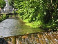 die Gose in Goslar