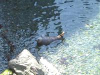 Pembrokeshire Coast NP