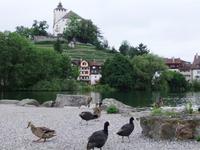 Werdenberg