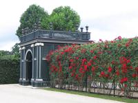 Rosengarten in Schönbrunn