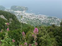 Blick auf Casamicciola 02