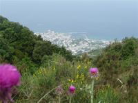 Blick auf Casamicciola 04