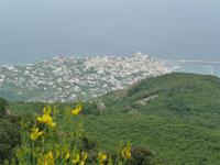 Blick auf Casamicciola 05