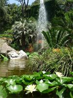 Garten La Mortella 01