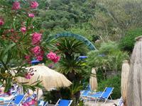 Wassergarten Negombo 03