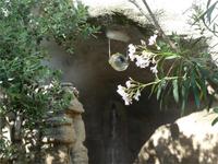 Wassergarten Negombo 