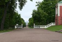 Eine Allee führt direkt bis zum Meer