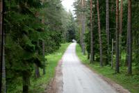 Straße zum Fischerdorf Altja