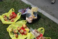 Picknick auf dem Weg zur russischen Grenze