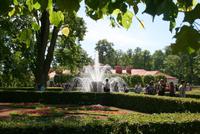 In den Parkanlagen vom Peterhof