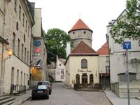 Erster Spaziergang in Tallinn