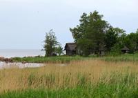 Spaziergang im Fischerdorf Altja