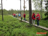 Wanderung durch das Hochmoor im Laheema-Nationalpark