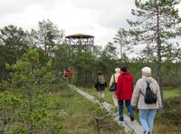 Wanderung durch das Hochmoor im Laheema-Nationalpark