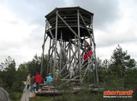 Wanderung durch das Hochmoor im Laheema-Nationalpark