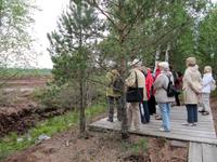 Hier wird Torf gestochen