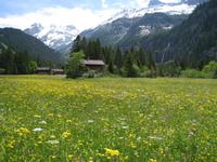 auf zum Oeschinensee