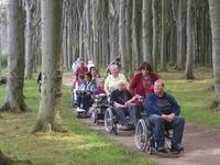 Wanderung durch den Gespensterwald