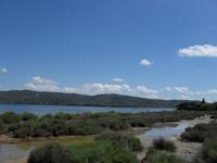 Wanderung entlang der Lagune von Orbetello