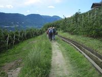 der Waal durch die Apfelwiesen