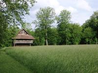 Englischer Garten in Schönenwerd