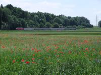 Schweizer Bahnen