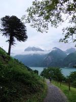 auf den Weg zu Tellkapelle