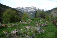 Botanischer Garten von Sorteny