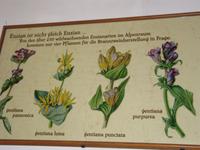 Enzianbrennerei Grassl