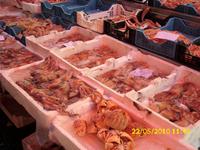 Fischmarkt in Catania