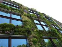 Museum Branly