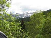 frisches Grün und alpine Landschaft