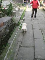 Altstadt von Chongqing