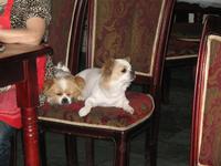 Altstadt von Chongqing