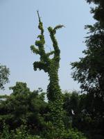 Fengdu - die Geisterstadt am Yangtze