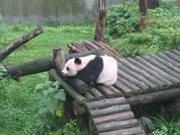 Guilin - Siebensterne-Park