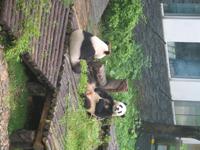Guilin - Siebensterne-Park