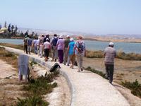 Ein Verdauungsspaziegang entlang des Salzsees...