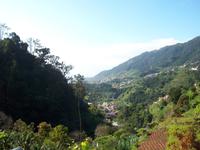 Blick auf die Bucht von Machico