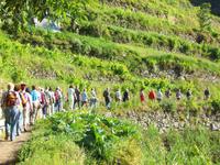 Reisegruppe im Gänsemarsch