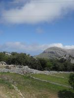 Fahrt durch die Tramuntana