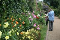 Im Candie Garden Guernsey