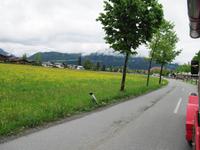 Mit dem Bummelzug unterwegs