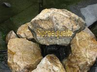 Eine der 3 Spreequellen